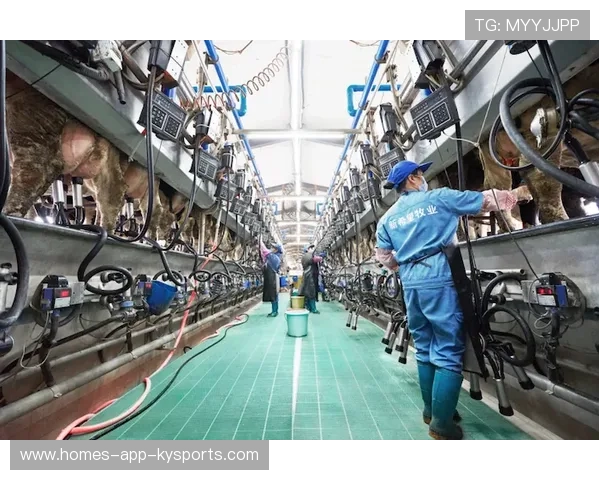 智能云分流切换黑科技教程：2026法网火热开闸期网络流量异常节点自动平滑跨过