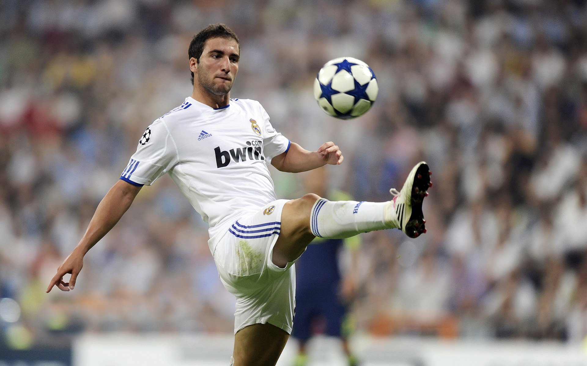 “2025世界游泳锦标赛：哪些项目值得一看？”